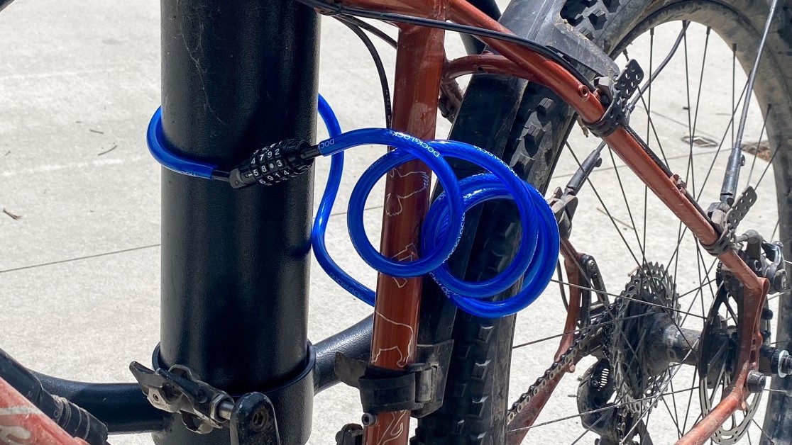 DockLocks Anti-Theft Weatherproof Cable Review