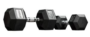 rogue rubber hex dumbbells