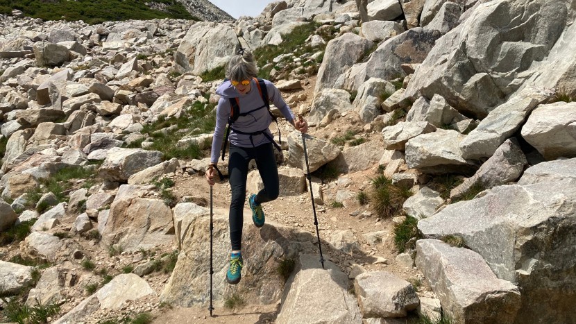 leki lhasa as - one reason the lhasa as proved quite versatile is their durable...