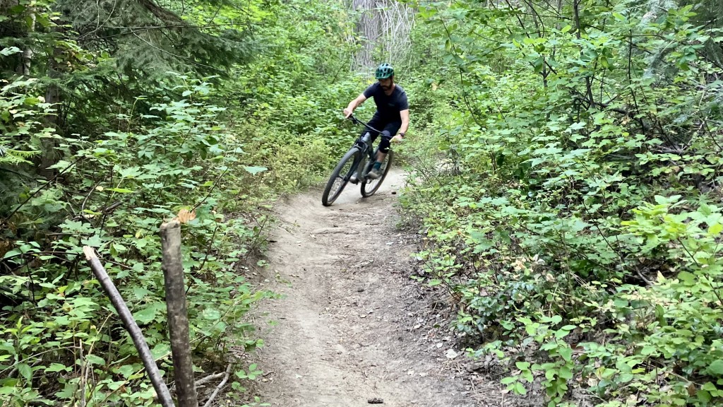 canyon neuron 5 - the canyon in its happy place. carving down moderate terrain.