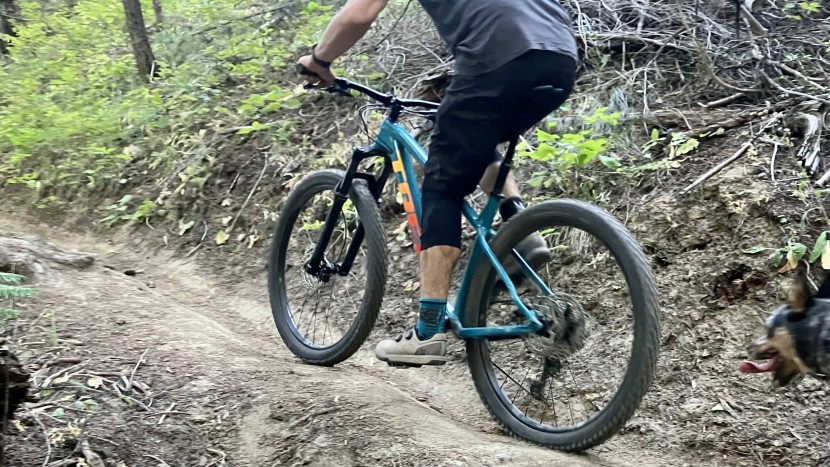 trek roscoe 7 - a hardtail paired with efficient tires is a recipe for excellent...