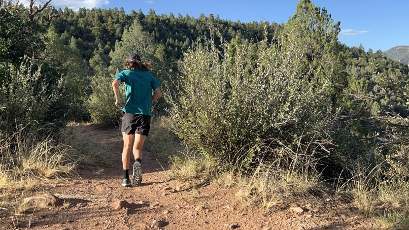 altra superior 6 - the altra superior 6 is the lowest cushioned model in altra's...