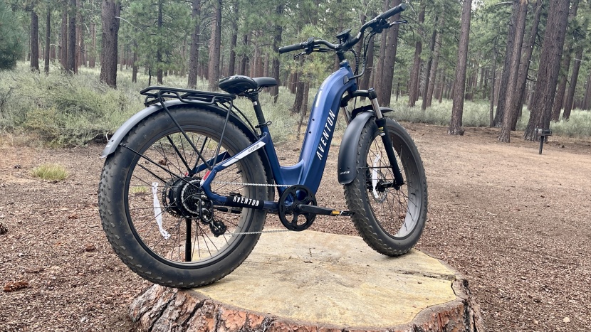 aventon aventure.2 step-through - here the aventure.2 occupies the stump of about 180 years of tree...