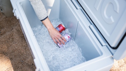 Product photo of RTIC 65