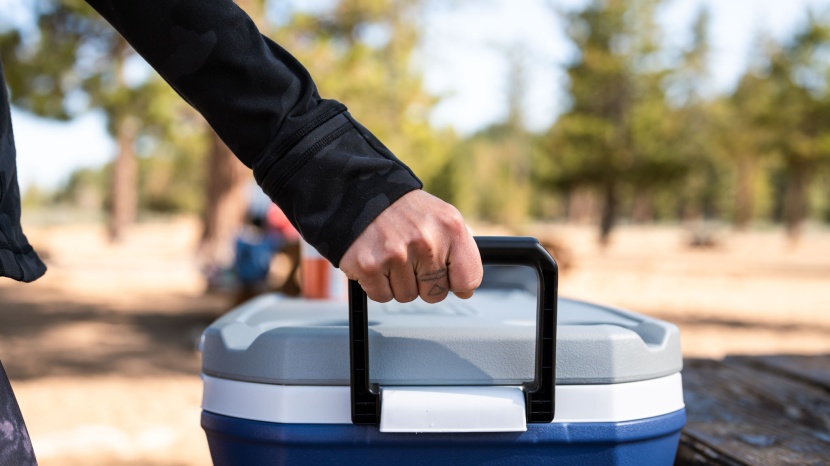 cooler - the coleman 316 is one of the lightest coolers in our lineup, making...
