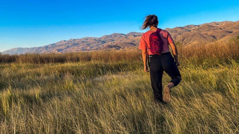 going for an evening stroll with the north face borealis sling.
