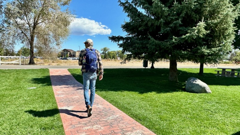 school backpack - the super affordable high sierra loop is well-prepared to carry a...