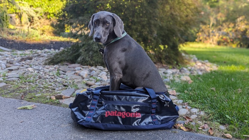 patagonia black hole duffel - bonus points, the black holes padded base makes a decent spot for...
