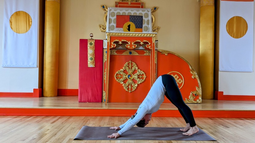 b yoga b mat everyday - the b mat is best suited for strong asana holds and step transitions...