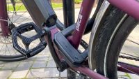 hiplok d1000 bike lock