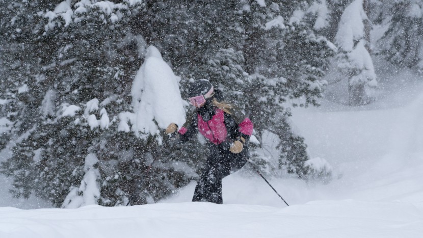 rossignol black ops 98 for women - the black ops' tight feeling turn radius helps in bumps and trees.