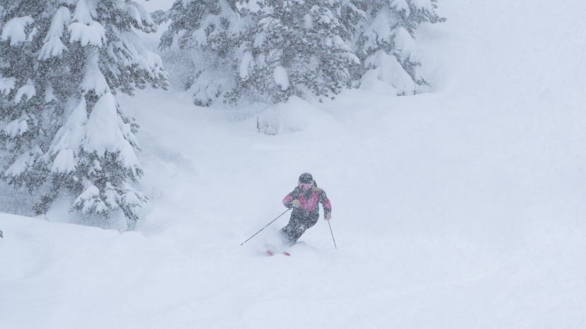 all mountain skis womens - the ripstick 94 w has exceptional powder prowess, especially...