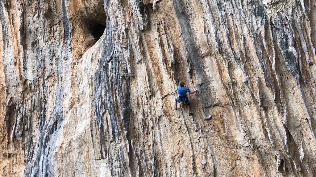 climbing harness - climbing harnesses keep you off the ground and having fun.