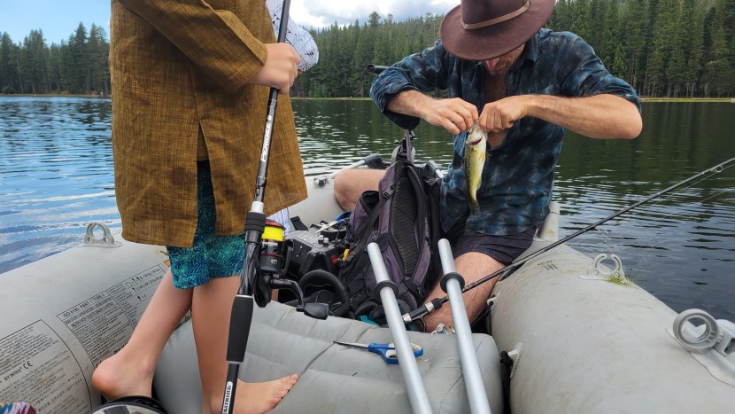 although it wasn't the most sensitive rod in the lineup, the...