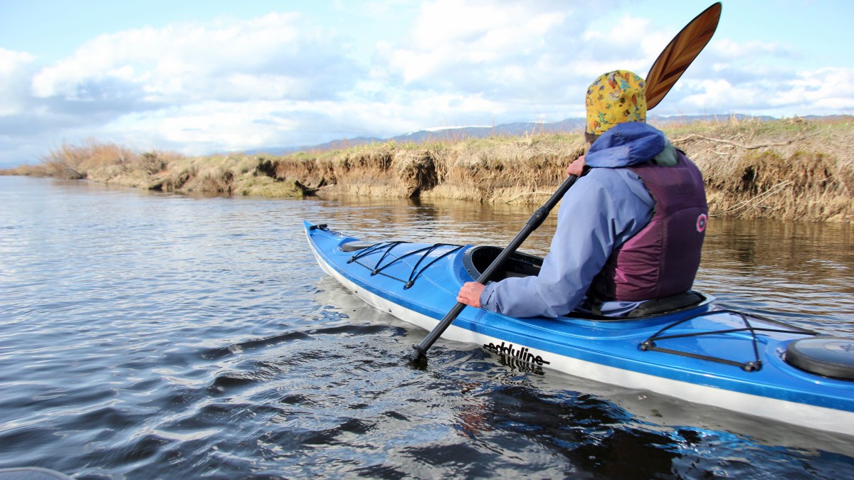 Eddyline Skylark Review (The Eddyline Skylark stood out for its high performance and lightweight.)