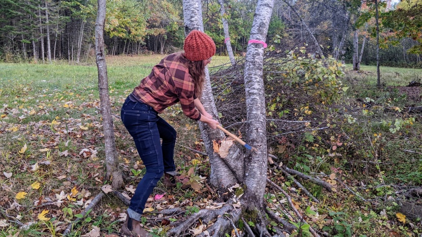 we also had a range of testers work with each axe, to see how well...