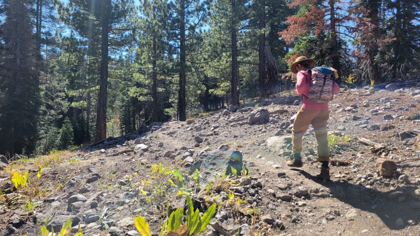 barefoot shoes men - the rocky terrain of the sierra nevada proved to be a good testing...