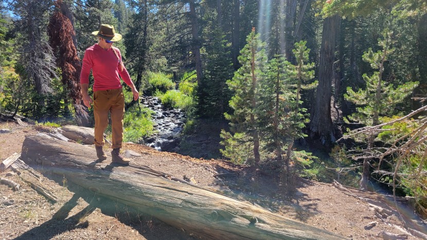 vivobarefoot tracker ii fg - the tracker ii fg offers plenty of ground feedback, while still...