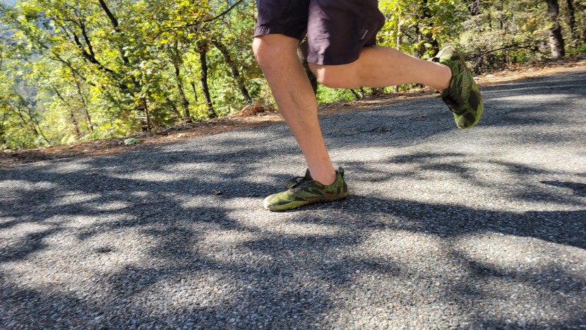 whitin cross trainer - while they will go there, we found there to be better options than...