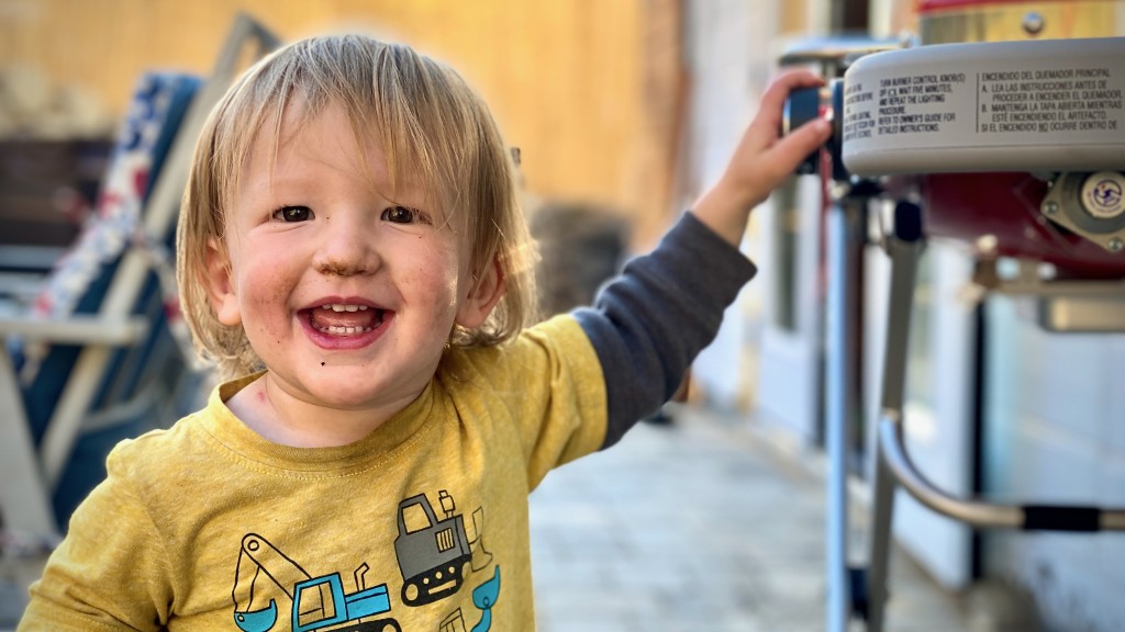 portable grill - the weber traveler is so user-friendly, even sam (our lead taste...