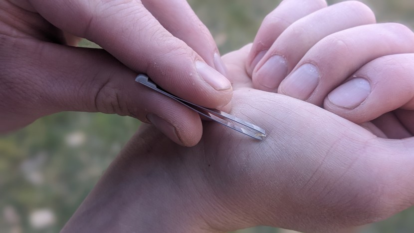 victorinox classic sd swiss army - the hidden tweezers in the handle scales of the classic sd swiss...