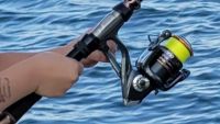 fishing reel