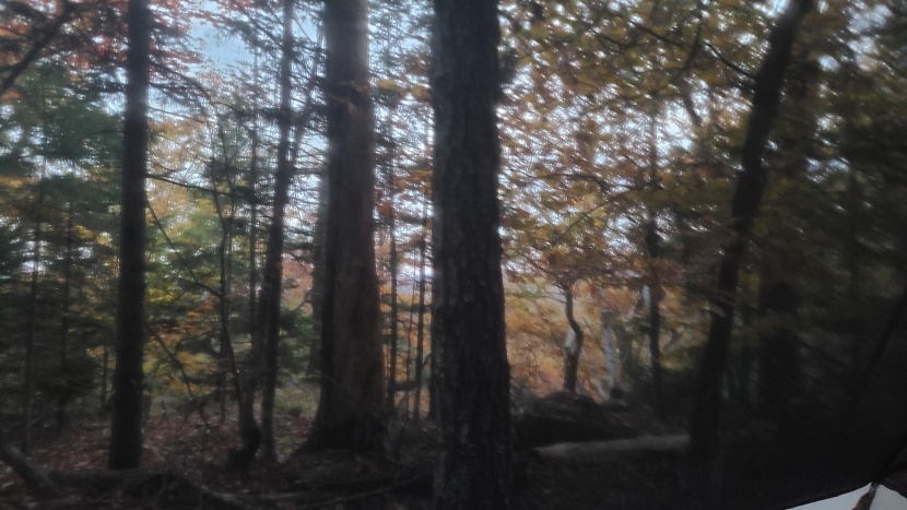 the tent's dark mesh makes it easier to see through at night.