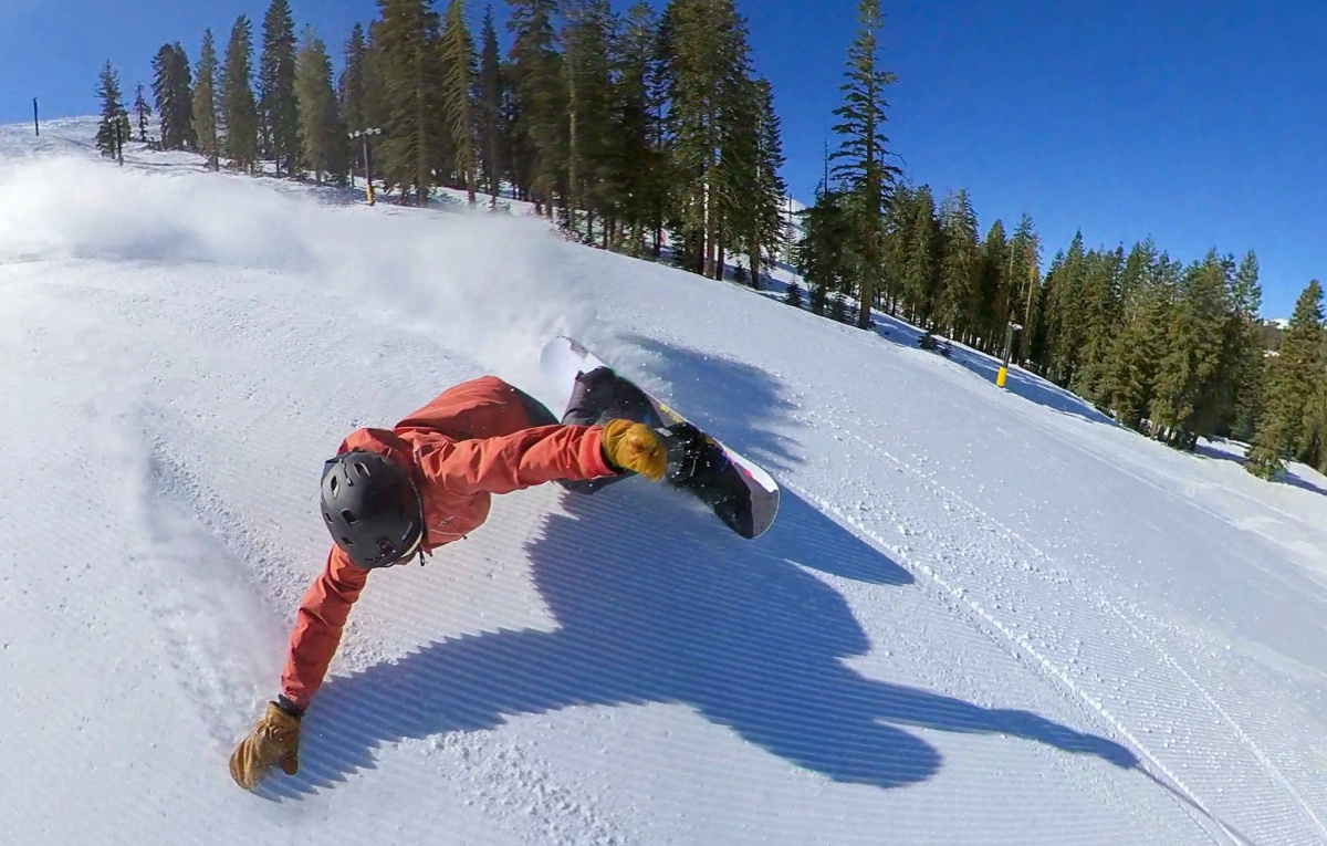 Never Summer Proto Synthesis Review