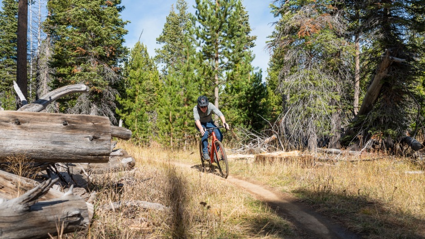 gravel bike - road, gravel, single track, and beyond.