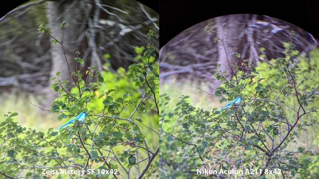 binoculars - a premium pair of binoculars can provide you with a dramatically...