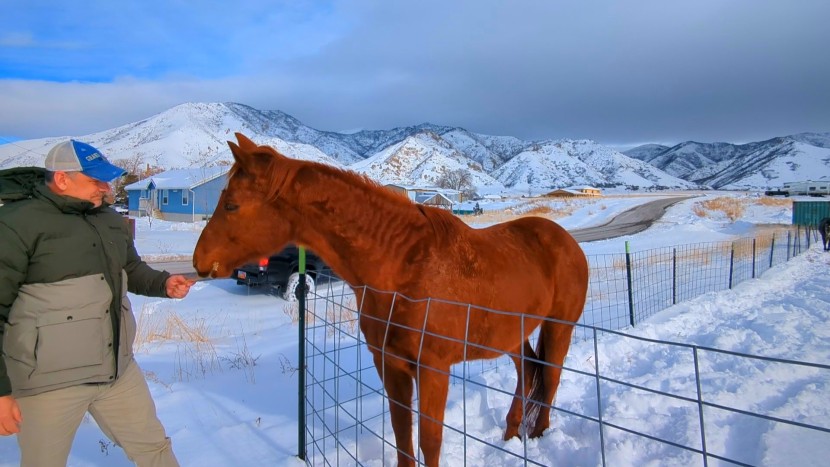 winter jacket men - the marmot's dense shell and plentiful down block the elements very...