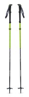 backcountry ski poles