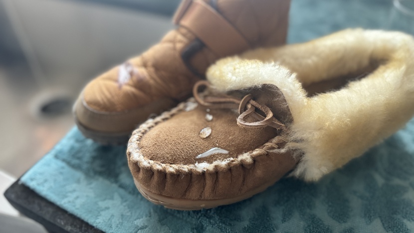 slippers womens - this suede outer of the wicked good moccasin is surprisingly water...