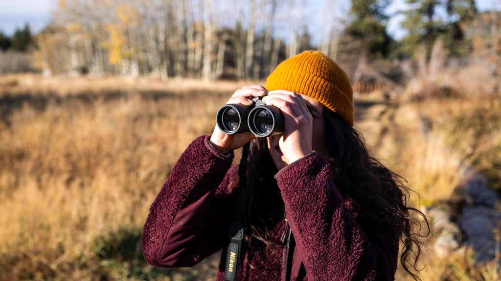 nikon prostaff p3 10x42 - good but not great for an entry-level pair of binos.