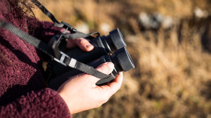 nikon prostaff p3 10x42 - the p3s don't offer the best eye relief, although the close focus...