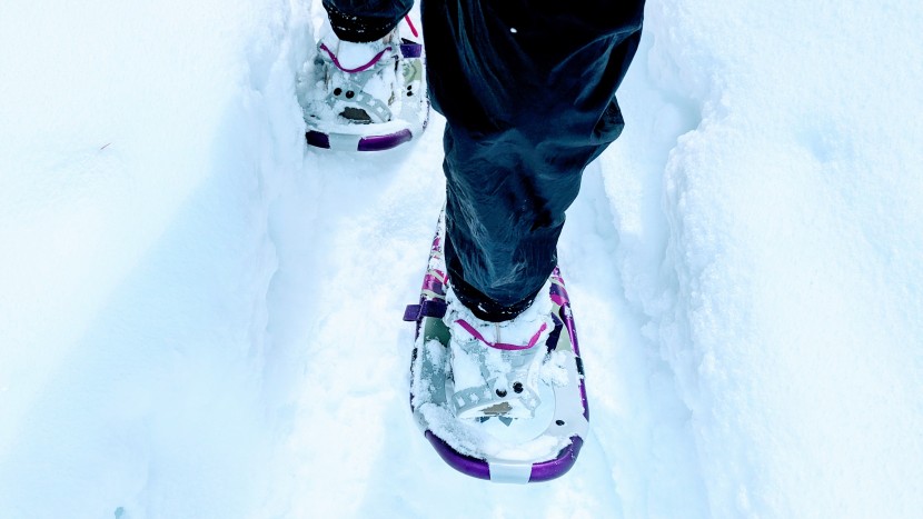 tubbs wilderness for women - the wilderness is relatively narrow for a tubular frame, so we found...