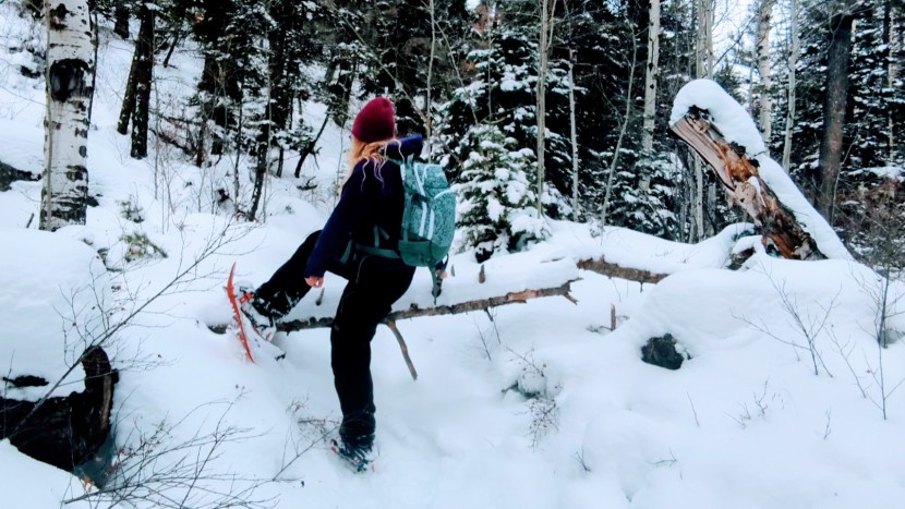 tsl symbioz hyperflex elite for women - the elite's bindings are custom fit, with zero-slippage in rugged...