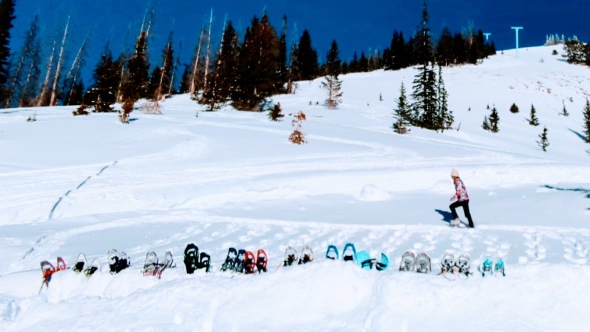 snowshoes womens - we test the tracks of each snowshoe side by side to see what sinks...