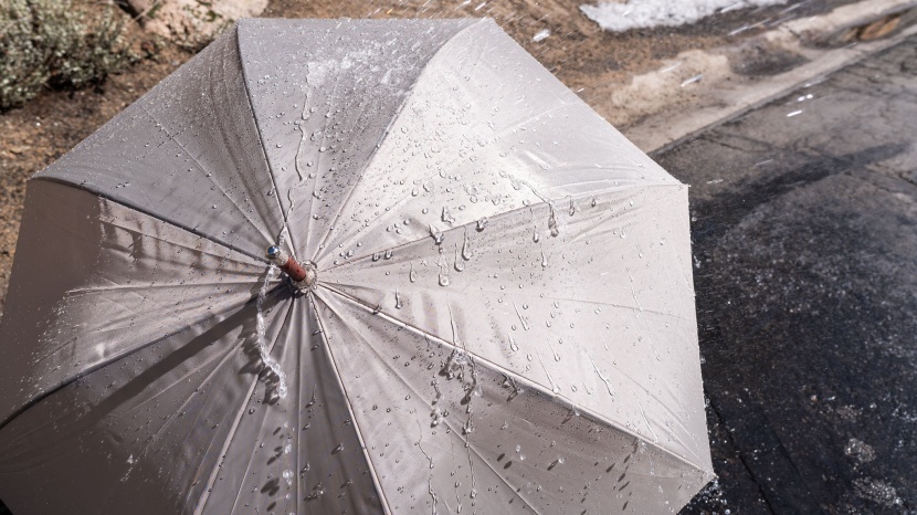 totes auto open wooden - traditional as traditional gets with this design, but at the same...