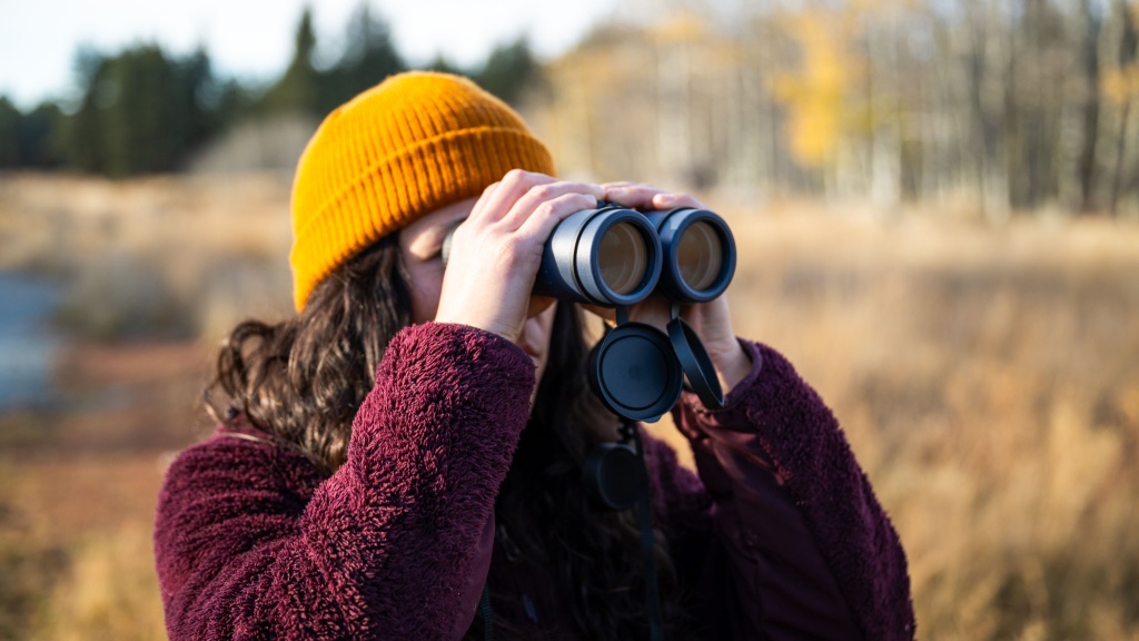 bushnell h20 10x42 - even among entry-level models, the bushnell h20 failed to impress.