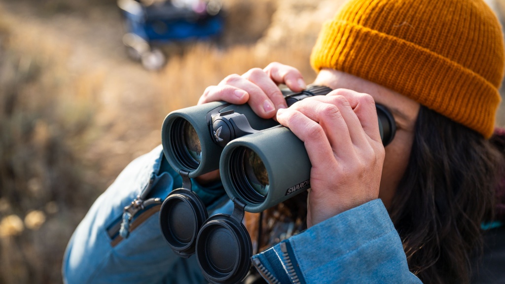 swarovski el 8.5x42 - large high quality lenses create stunning views.