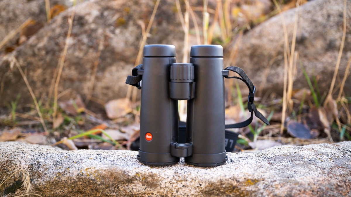 Leica Noctivid 10x42 Review (Exceptional clarity are the Leica Noctivid's proud claim to fame.)