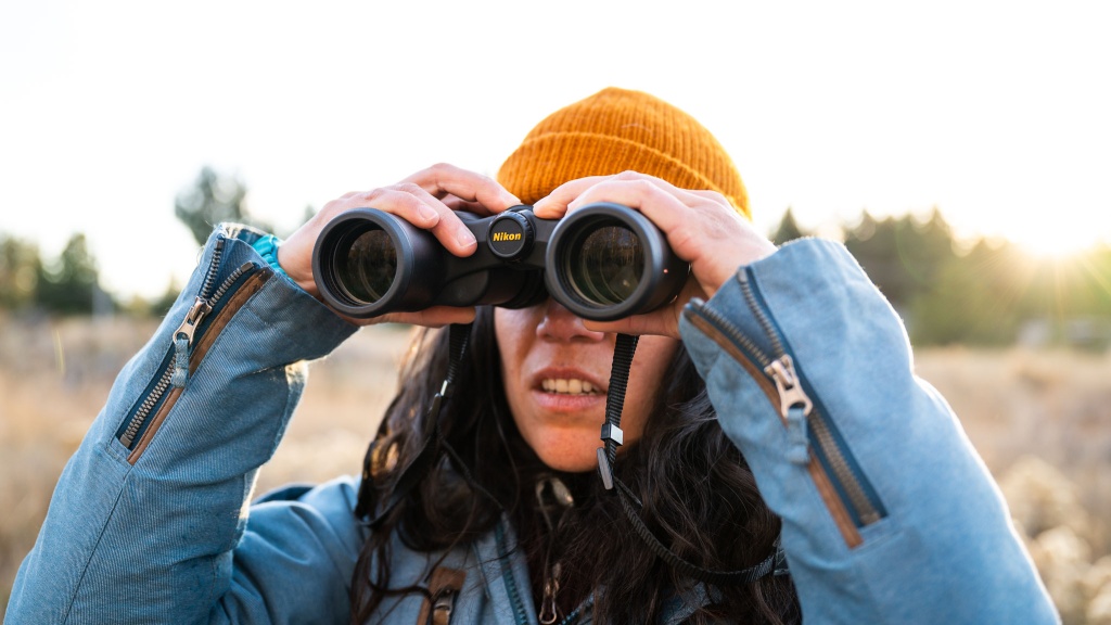 nikon aculon a211 8x42 - the binos failed to impress us across the majority of our testing...