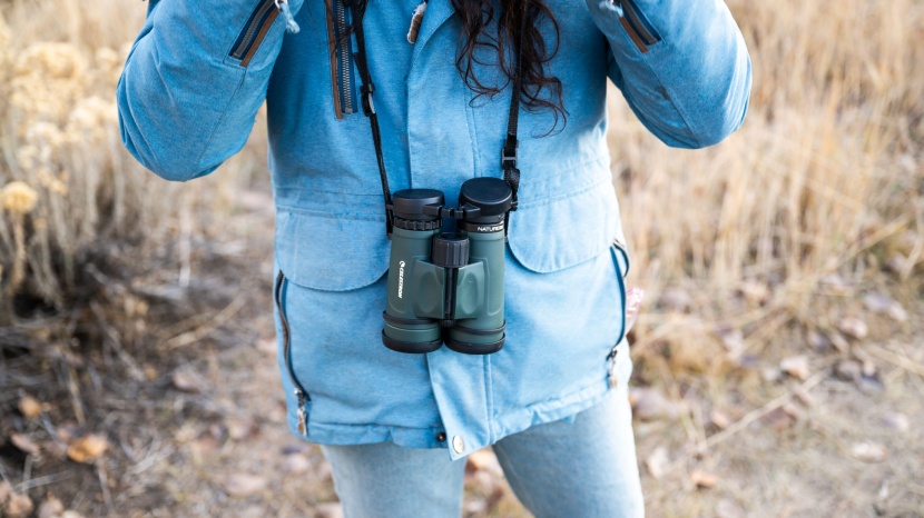 celestron nature dx 8x42 - a good starter pair of binoculars that can hang with even better...