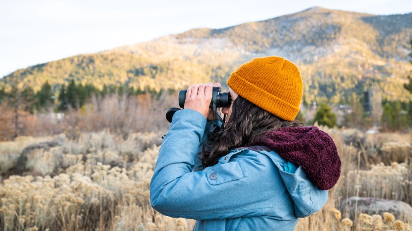 celestron nature dx 8x42 - enjoy birdwatching without breaking the bank.