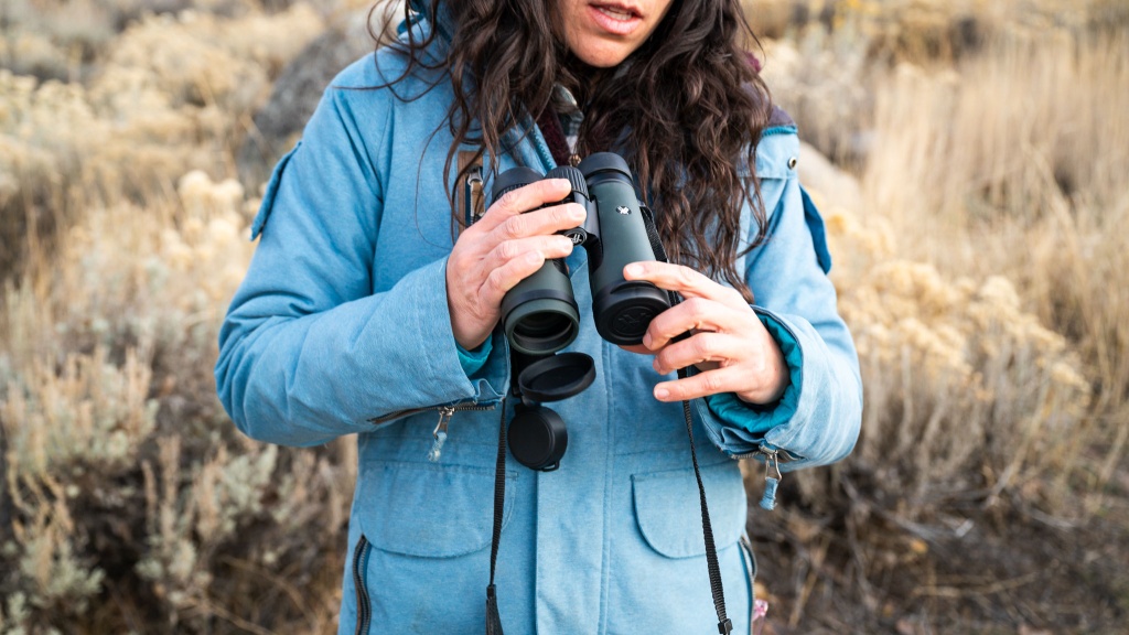 vortex diamondback hd 8x42 - these are one of our favorite budget picks.