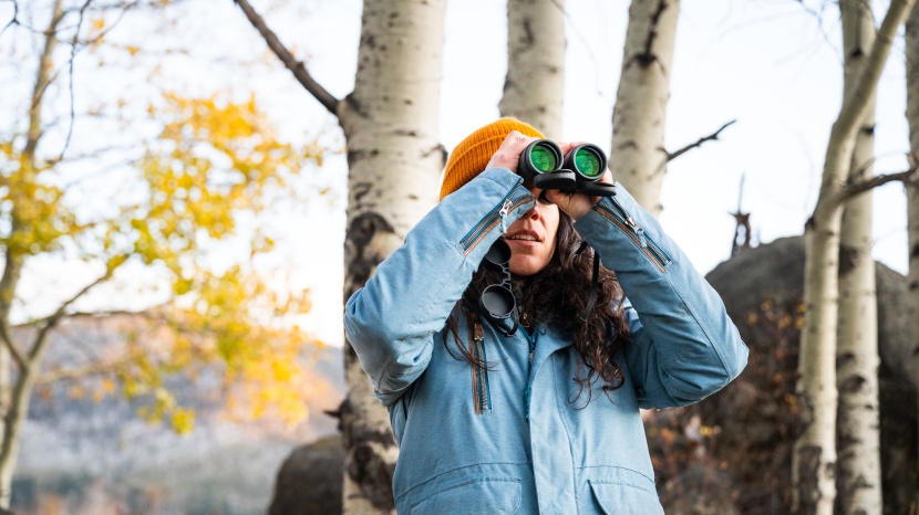 vortex diamondback hd 8x42 - large lenses and hd glass provide a clear and bright experience.