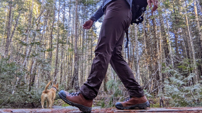 hiking pants women - from damp forest floors to hot beaches and desert sands, the ferrosi...