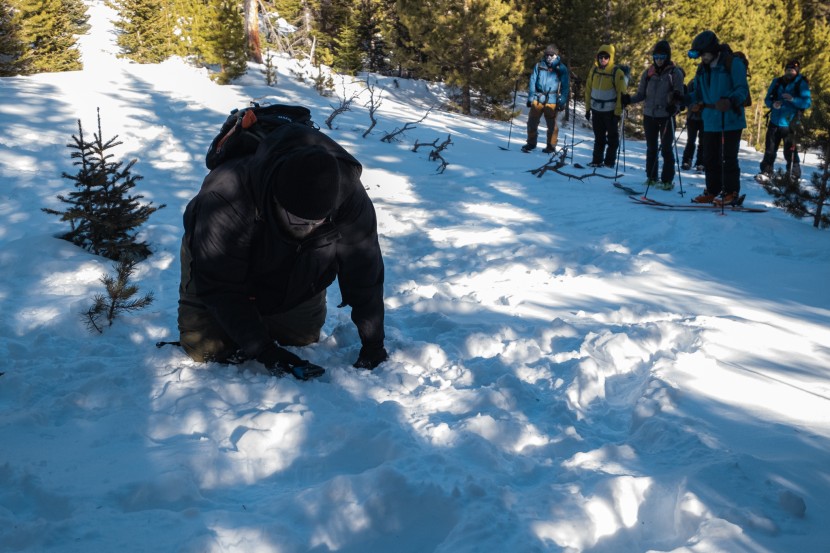 black diamond guide bt - even in the hands of more novice users, the guide bt was easy to use...