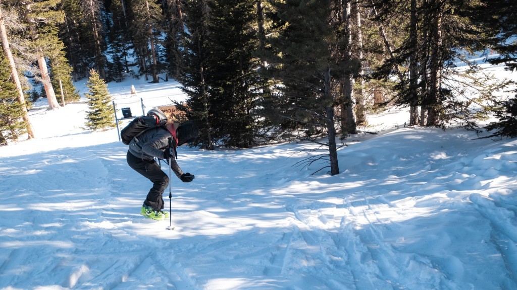 backcountry access tracker s - for new users on a budget, the tracker s is an excellent choice.